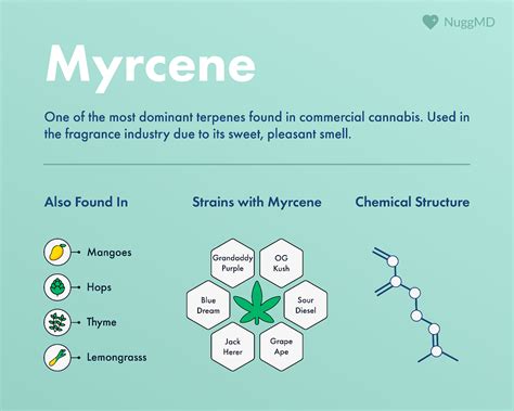 beta myrcene|Myrcene Benefits, Myrcene Effects .